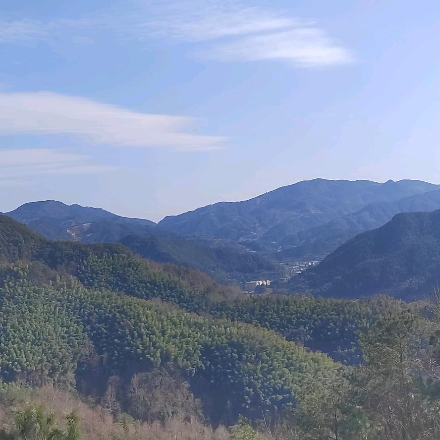 爱分享的珍姐 👩‍🦰👩‍🦰