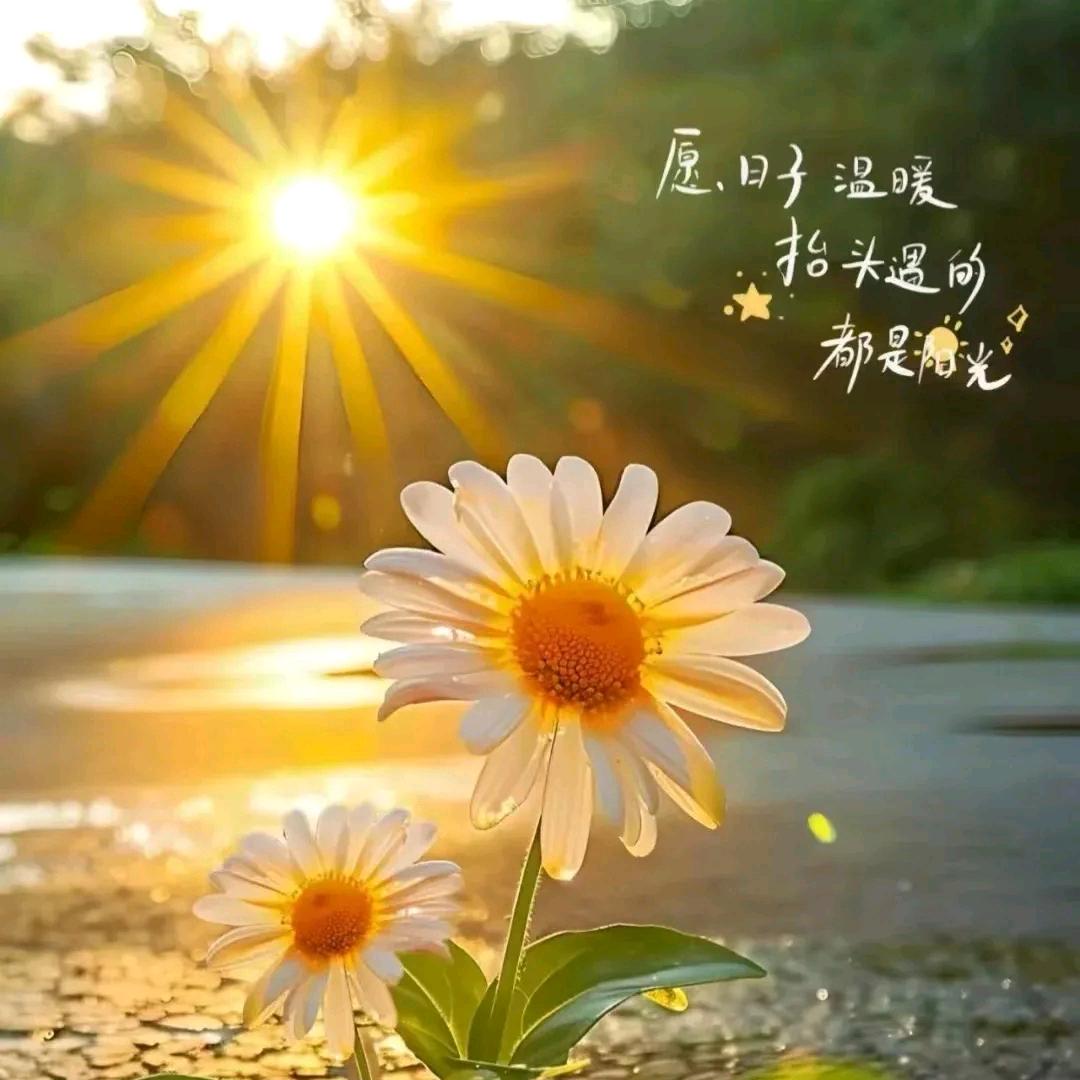 💔ꦿ໊心随᭄🕊风去᭄ꦿᩚ٭