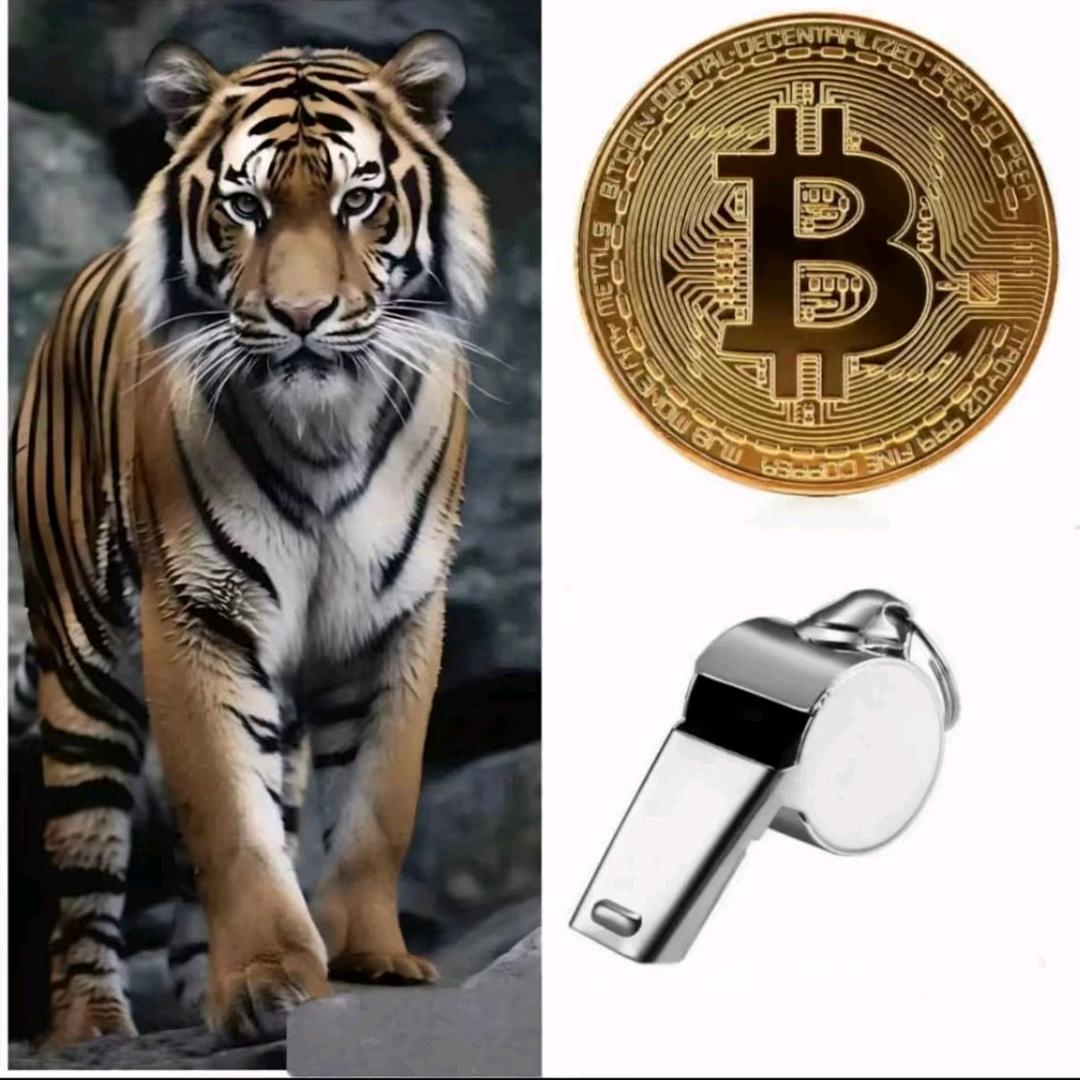 峭村街在逃羊汤