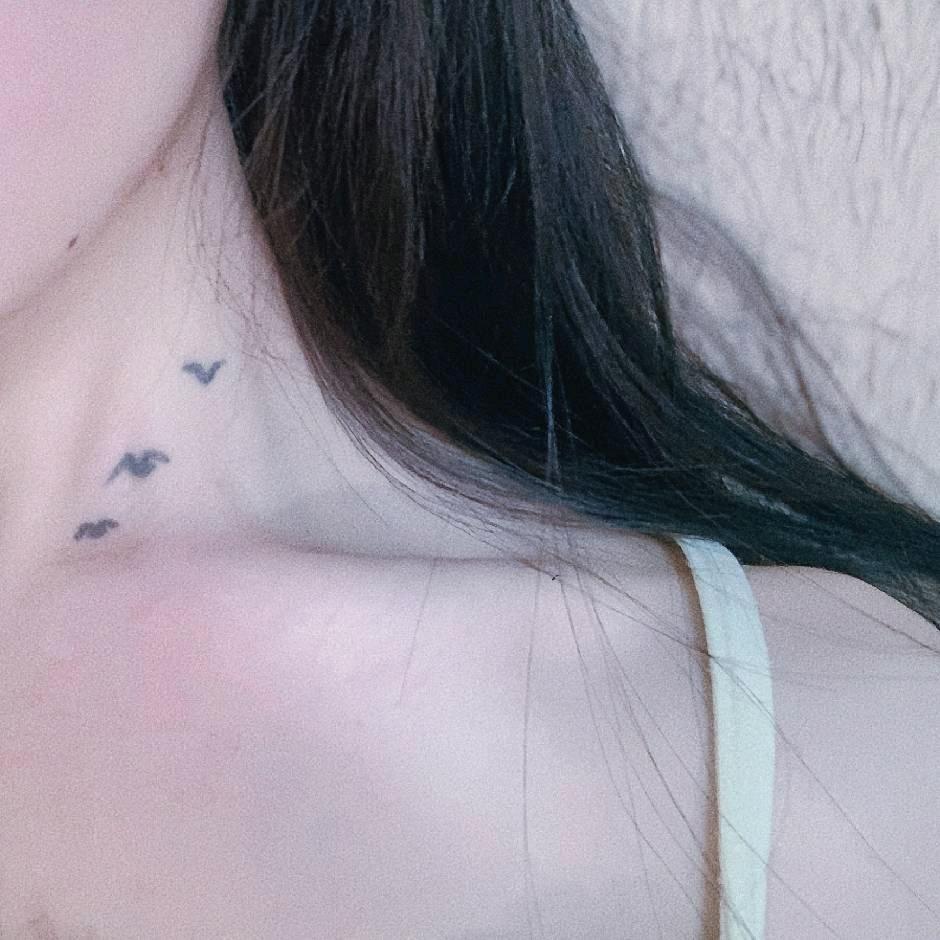 🐱有只叫发财的猫