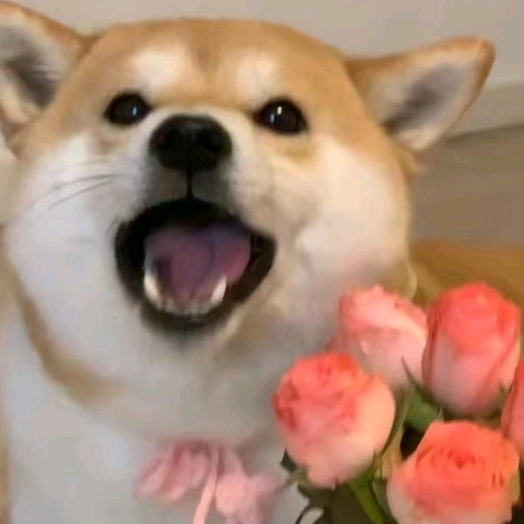 响靓大笔兜