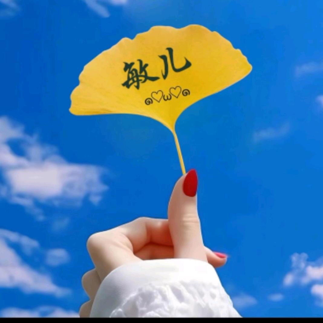 敏--Y头