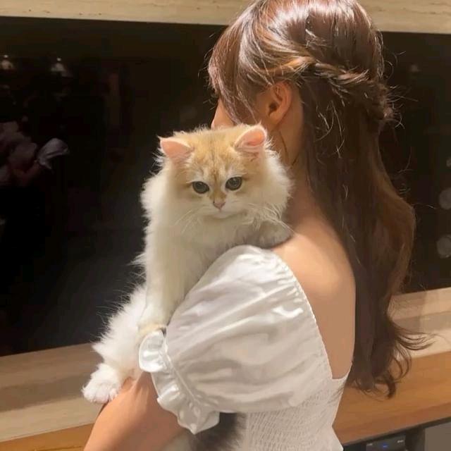 糖心小兔