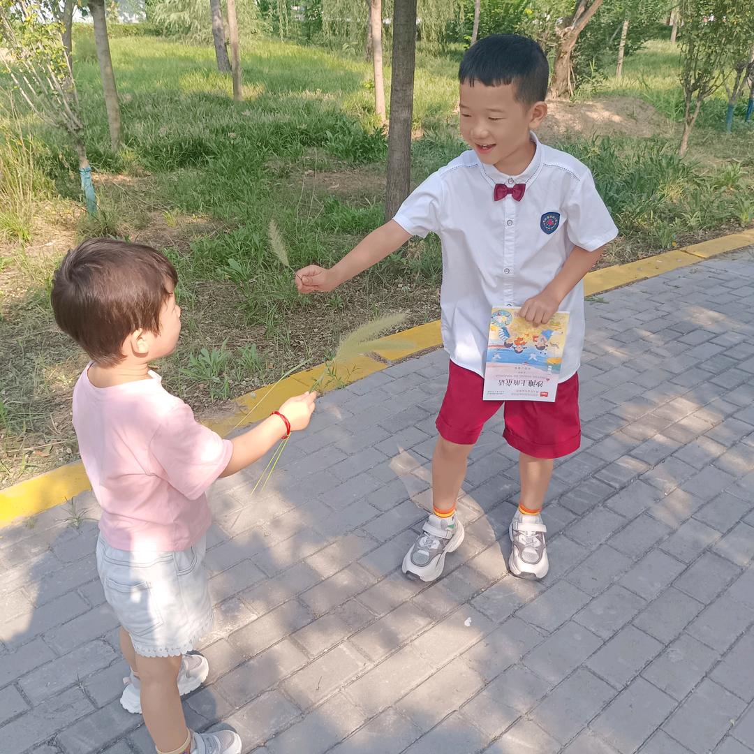 硕硕  糯米（三胎带娃中）