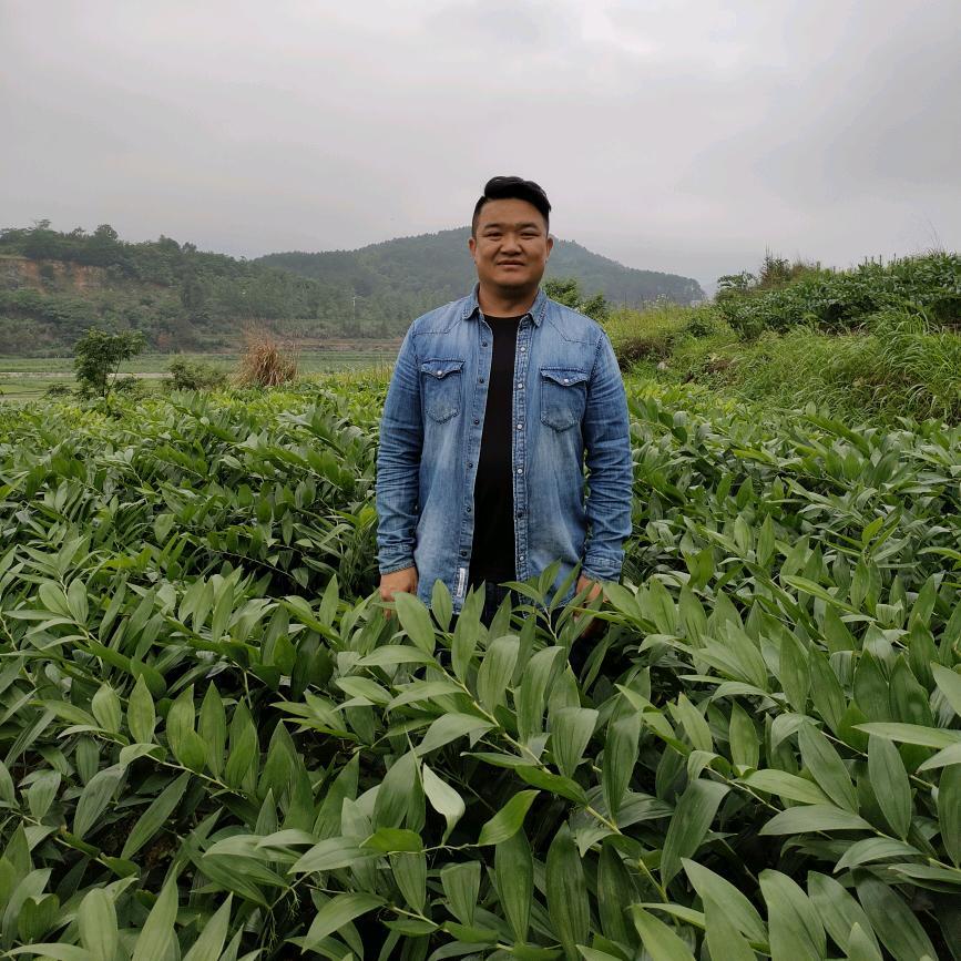 平哥聊农业
