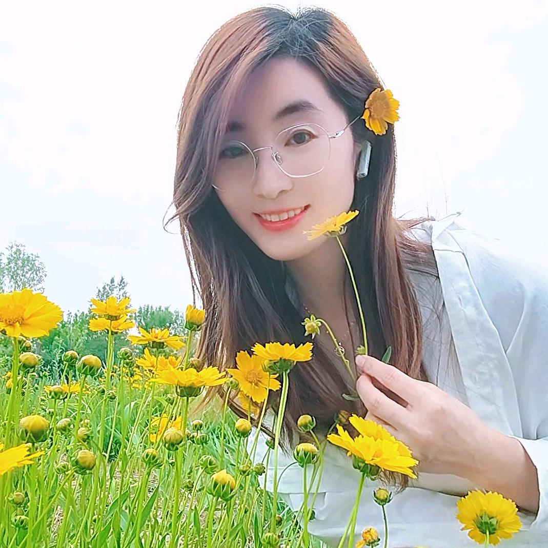 洱海边的蓝桉