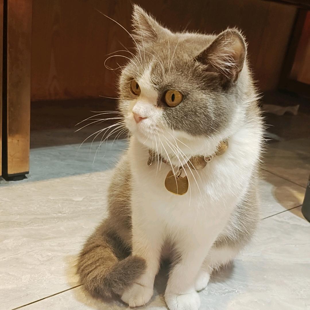 小❤️财❤️迷🫰🏻