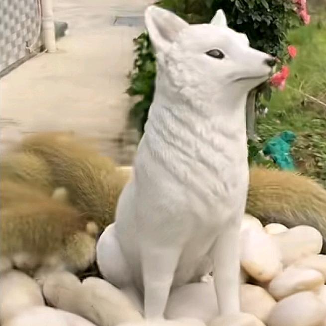 别笑我懦弱