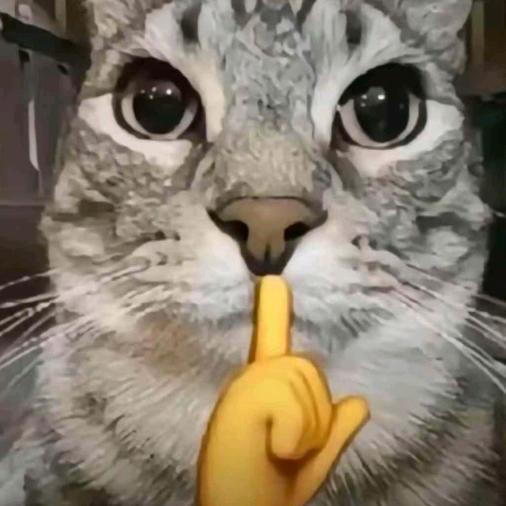 长的太帅被人在大街上踹