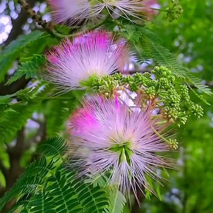天涯