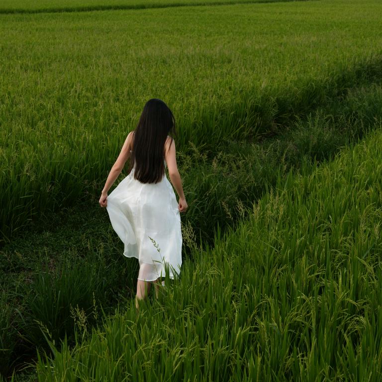 雪无情