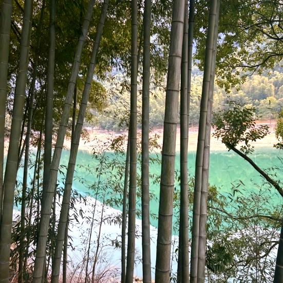 🌍脾ོ̨戴阿🔥🔥🔥