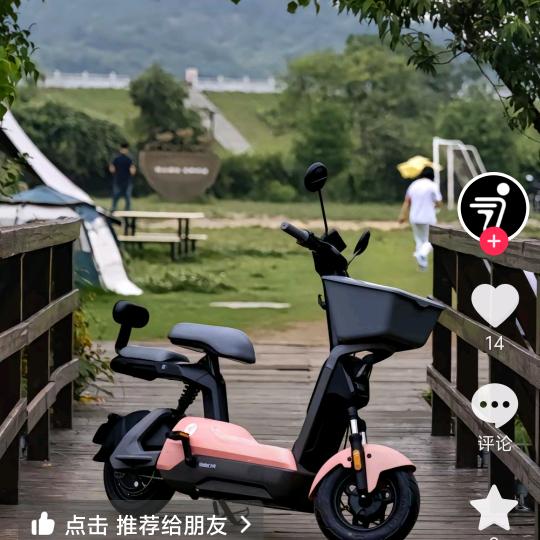 九号电动车(左安路店)专用号