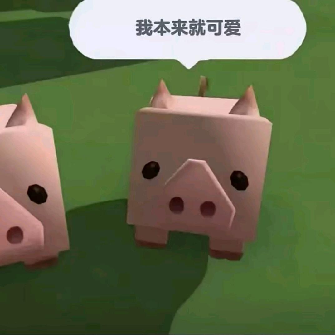 𝓁𝒽.^林婉莹^