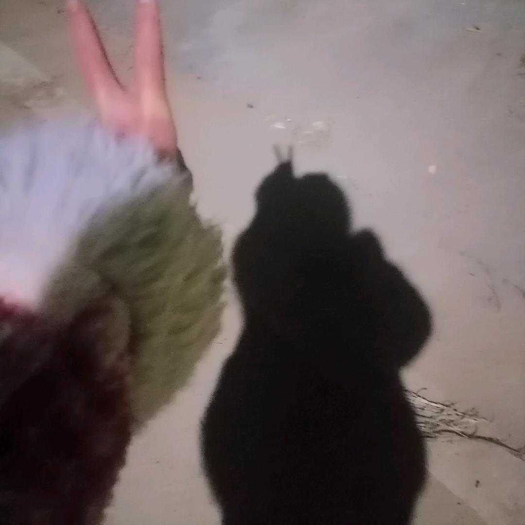 小婷不是很好🐟