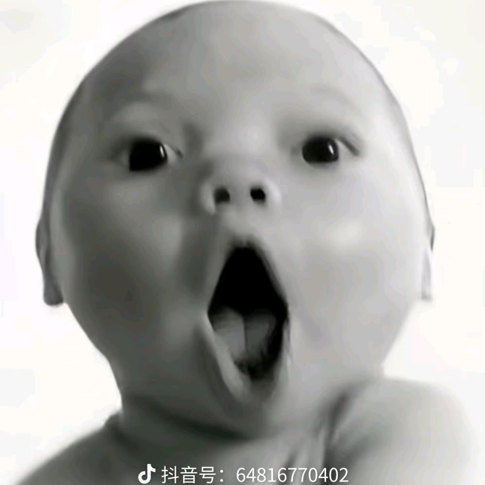 杏花雨落棠