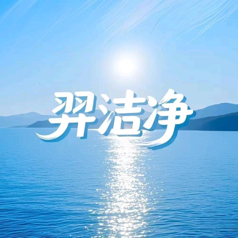 羿洁净汽车洗护