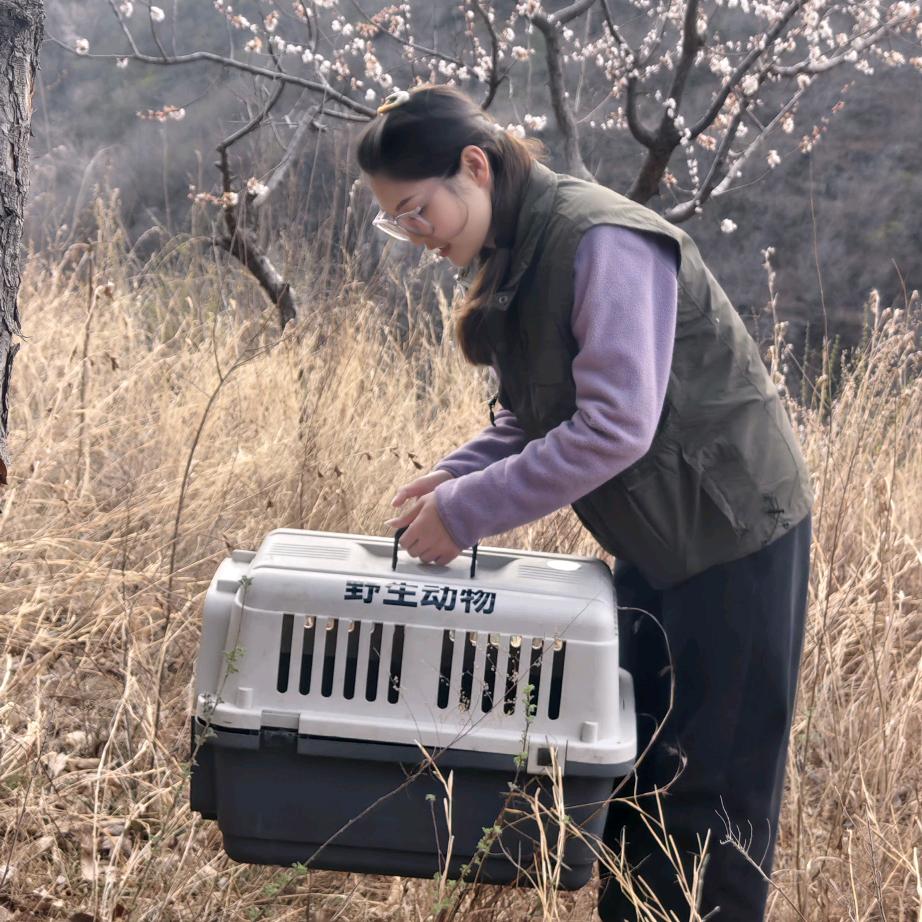 芽芽 野生动物救助