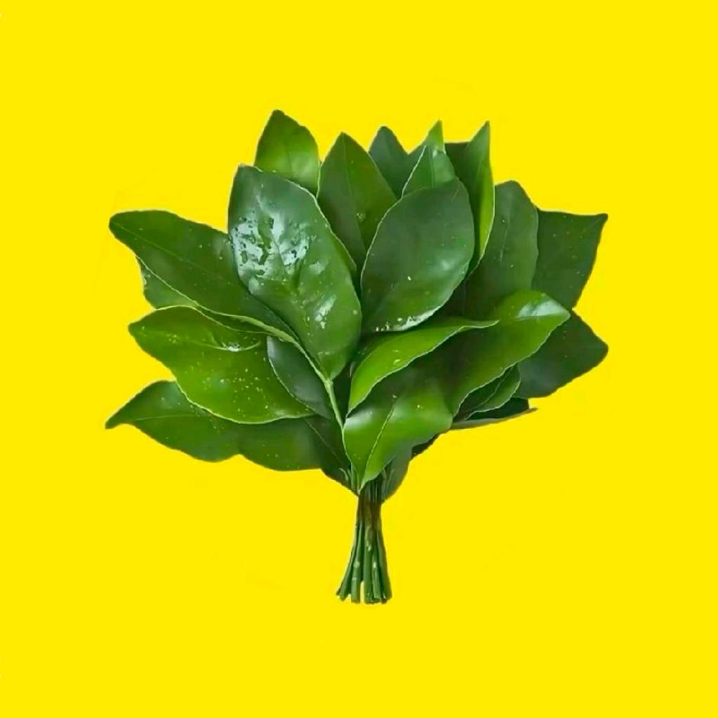 爱笑的毛毛虫