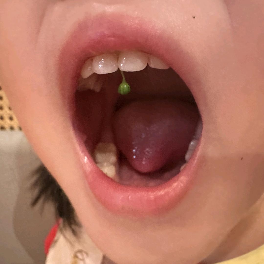 追风少年余小猫