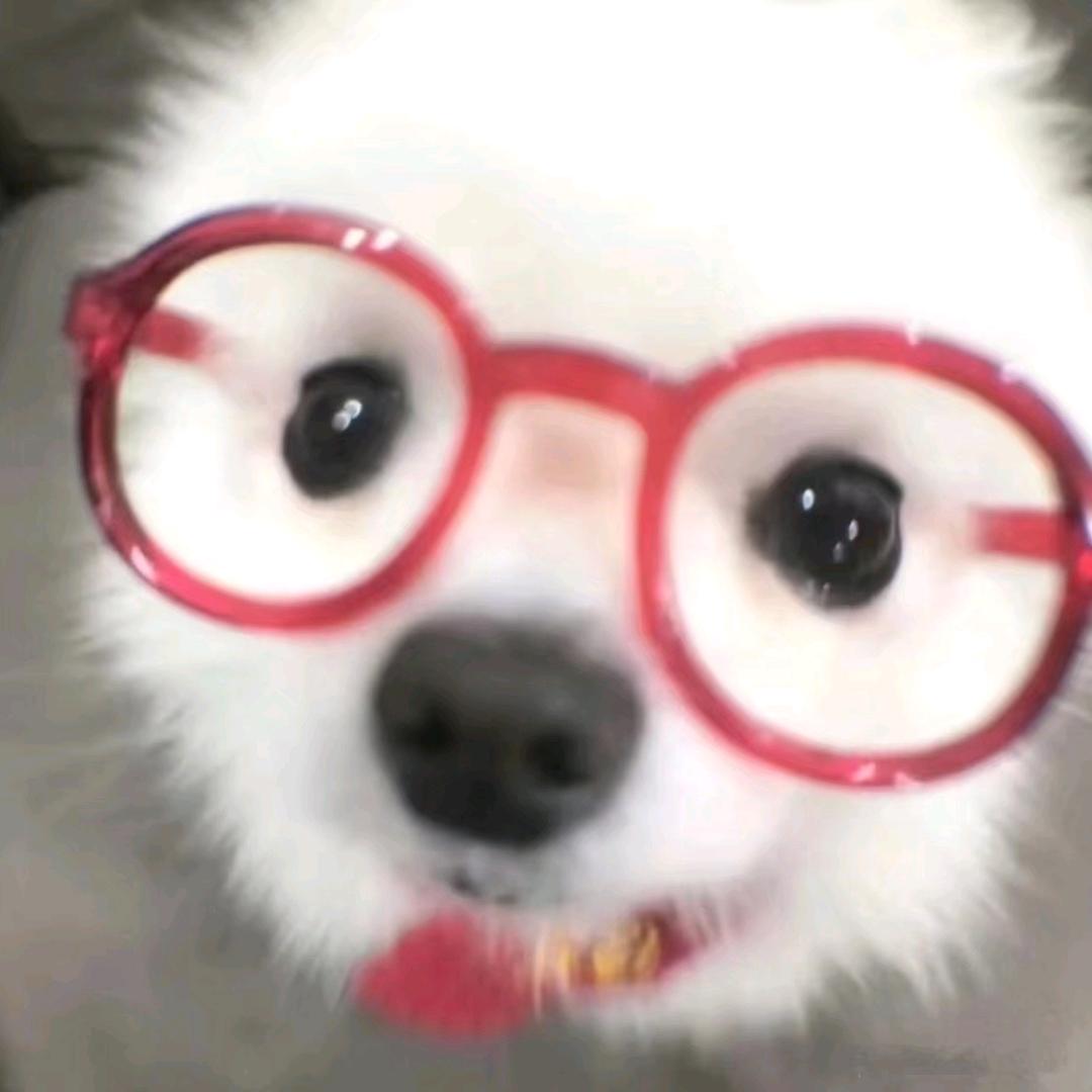 结核桑