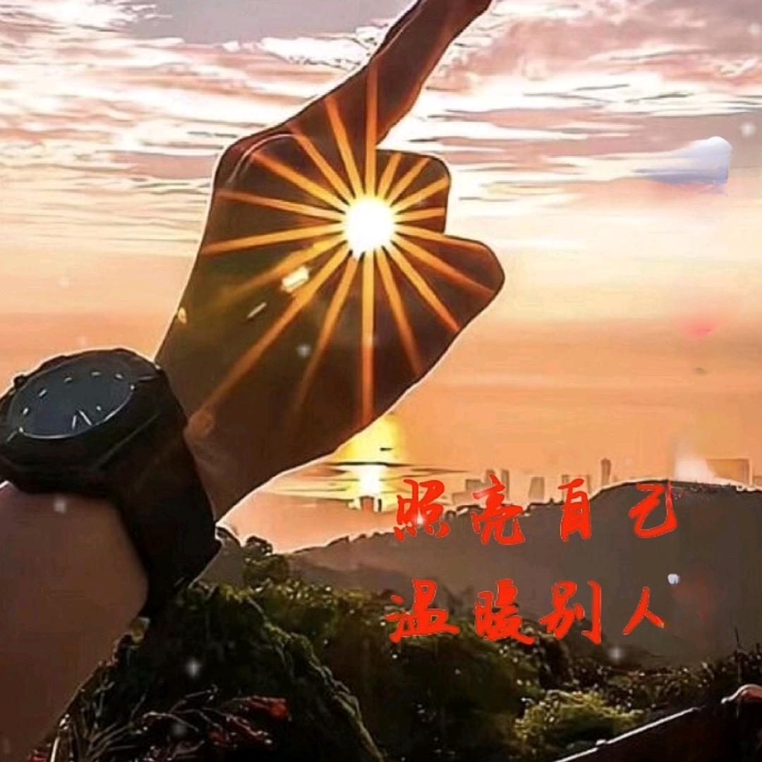 狐独的狼
