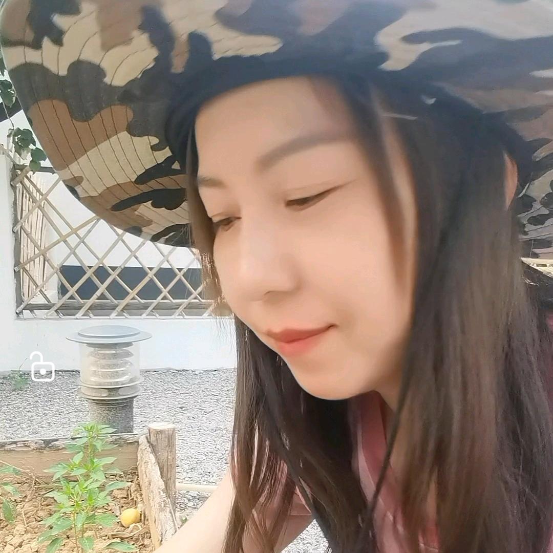 林夕的小院餐厅山屿辰舍