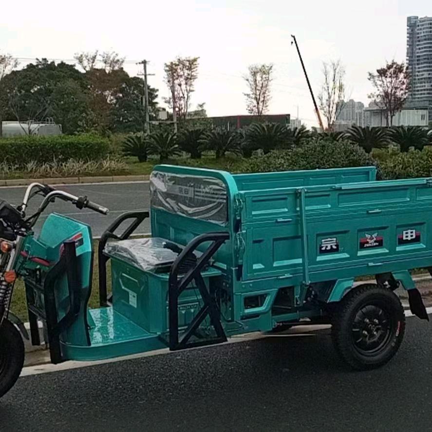 春天里的草