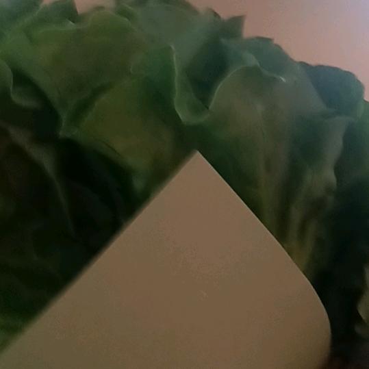 婷停