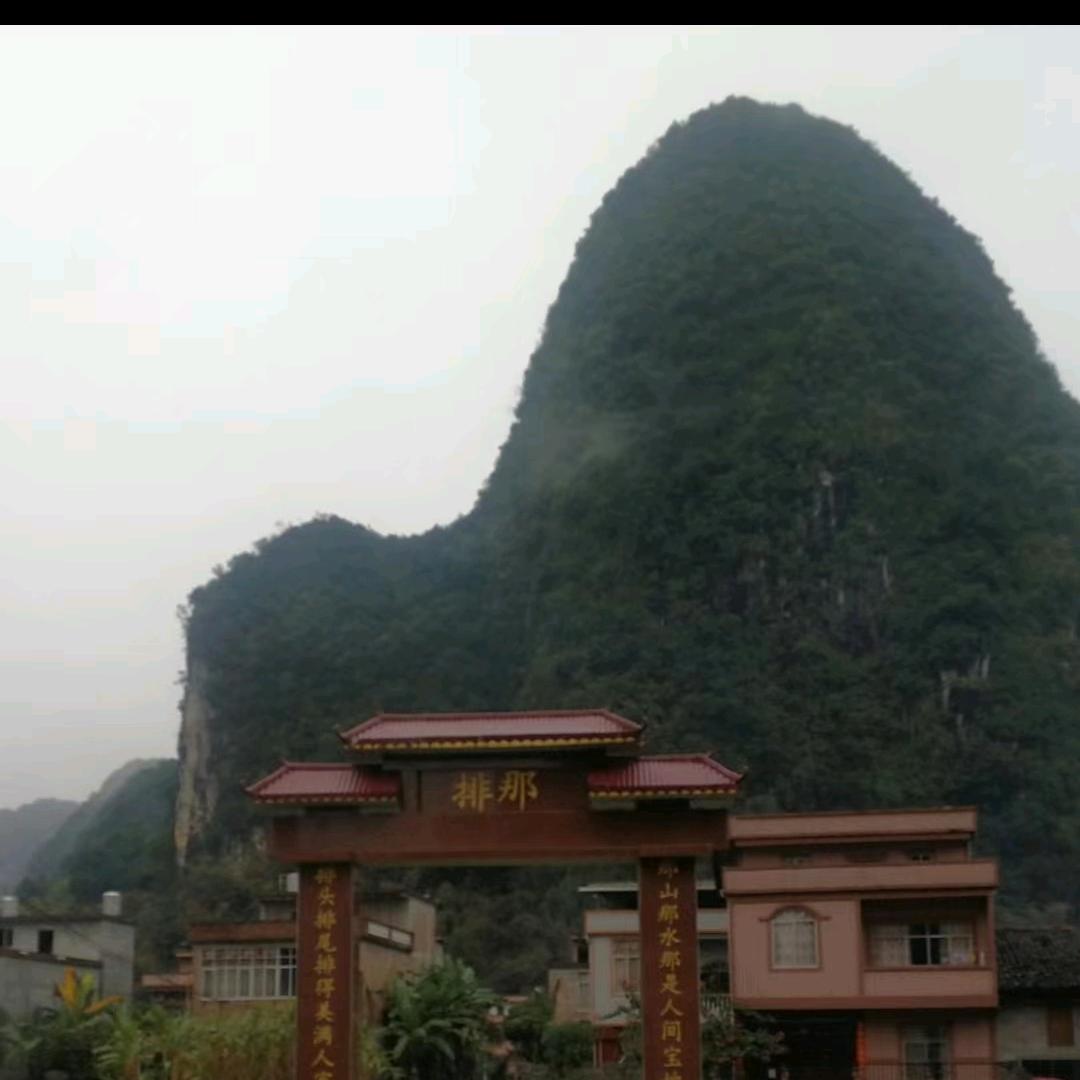 灰狼