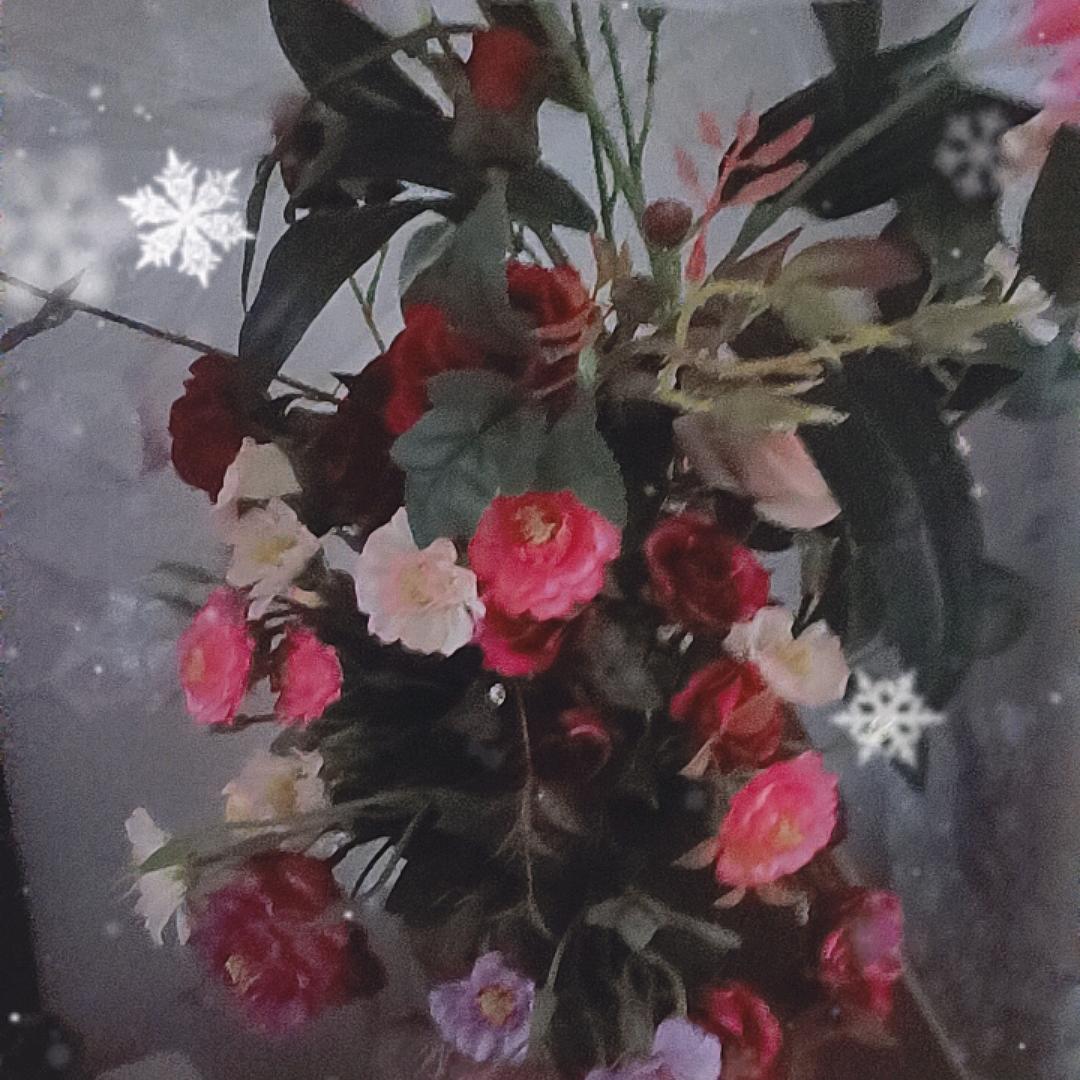 🌸🌸开心过好每一天