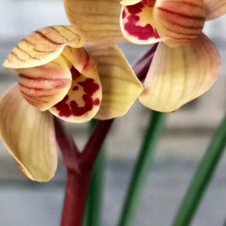 难走的路上从来不拥挤