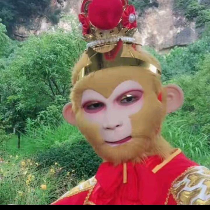 小陆老板单身好男人🍇🍇🍓🍓🍓?