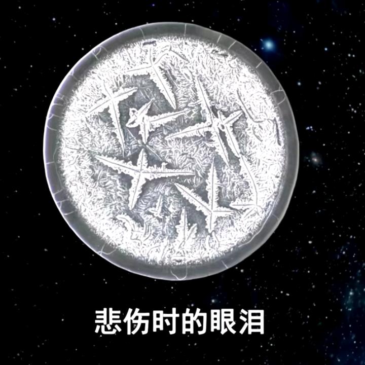 花败叶落，那是重生