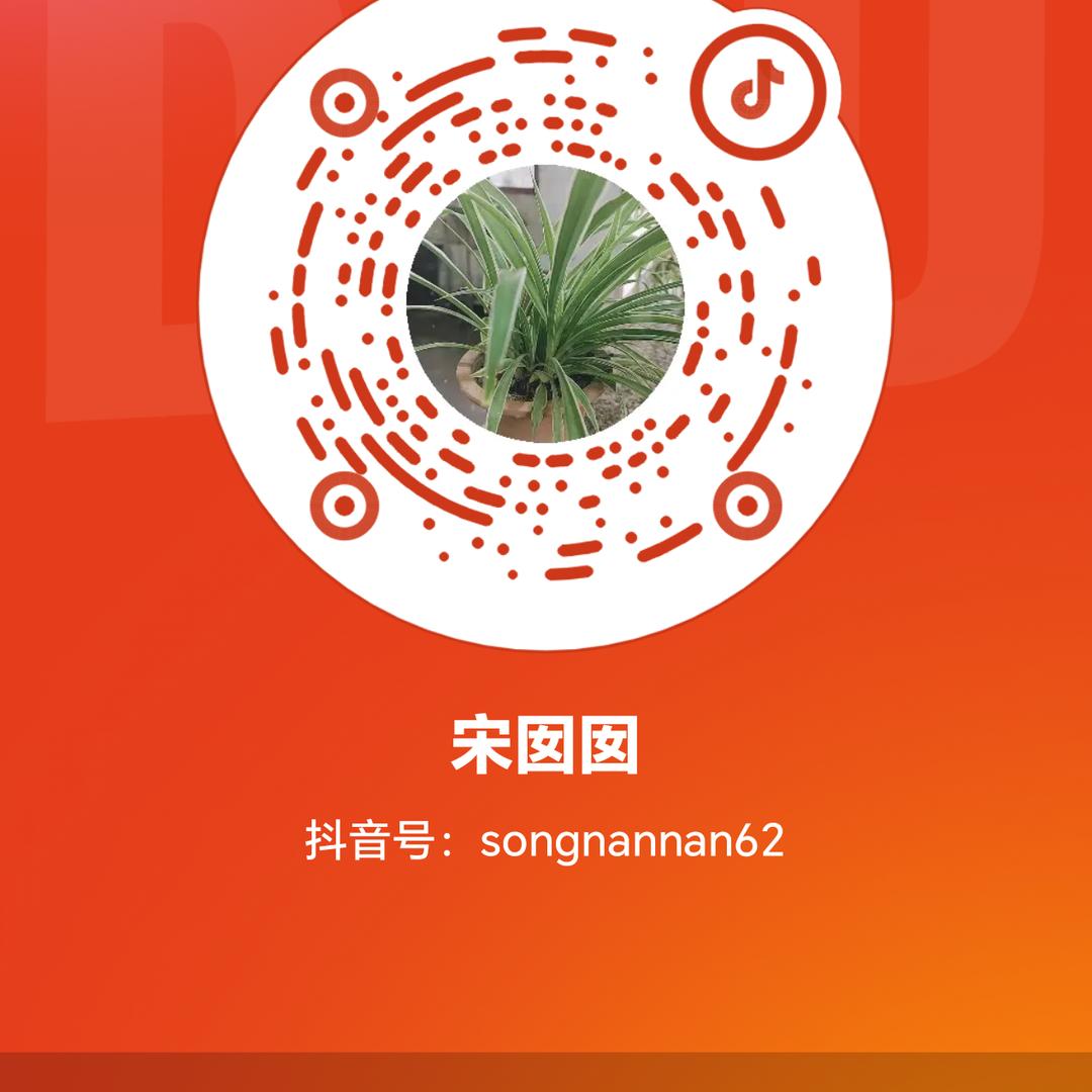 宋囡囡