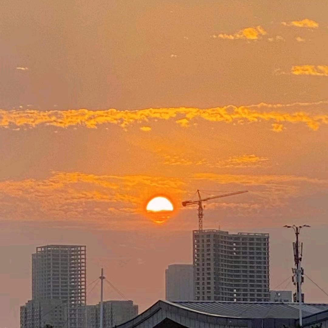 栖與山林