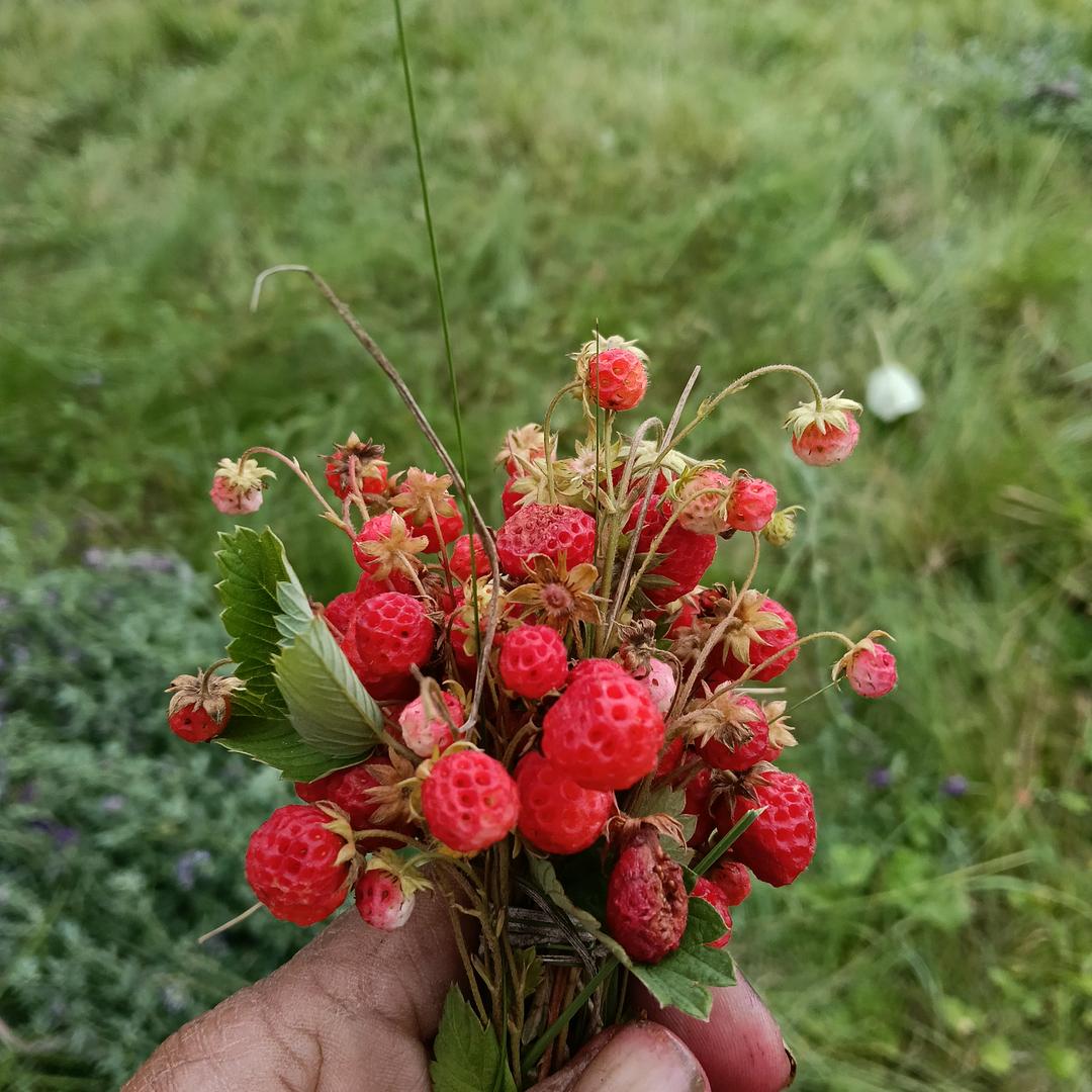海阔，海闽天空