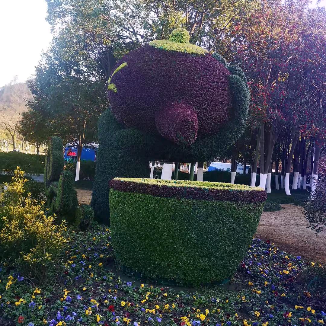 好运加倍（那年风月）