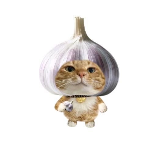 哇哇哇哇哦哦哦