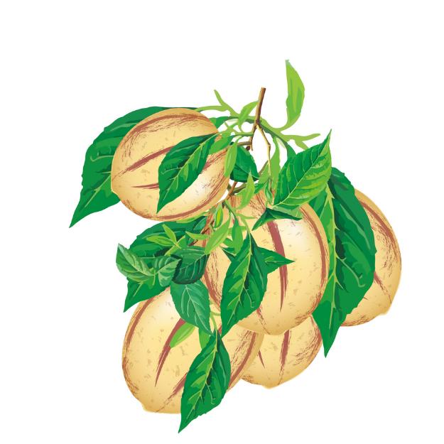 青茂禾苗种植基地的头像