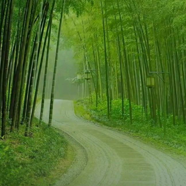 成心如意