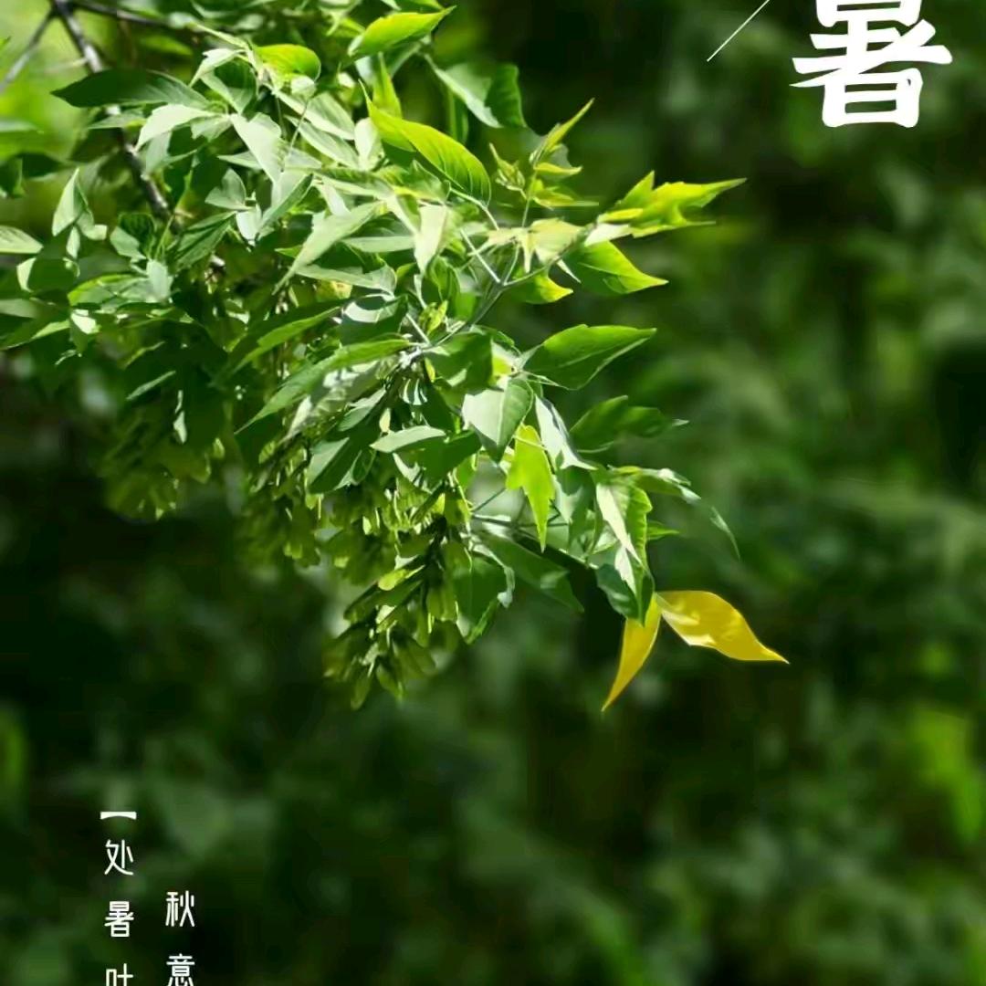 云丰农资