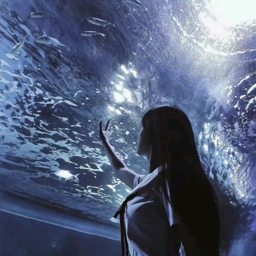 礼服穿搭情报局