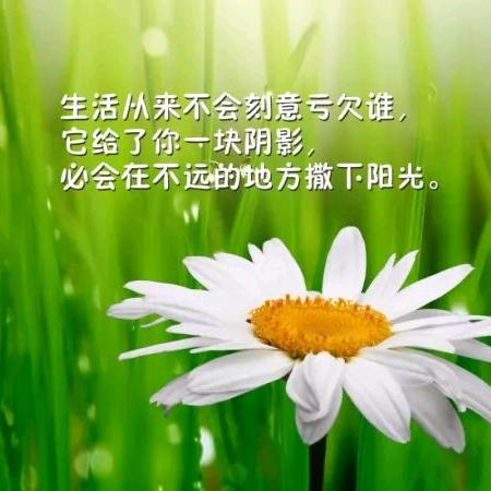 懂得♡珍惜