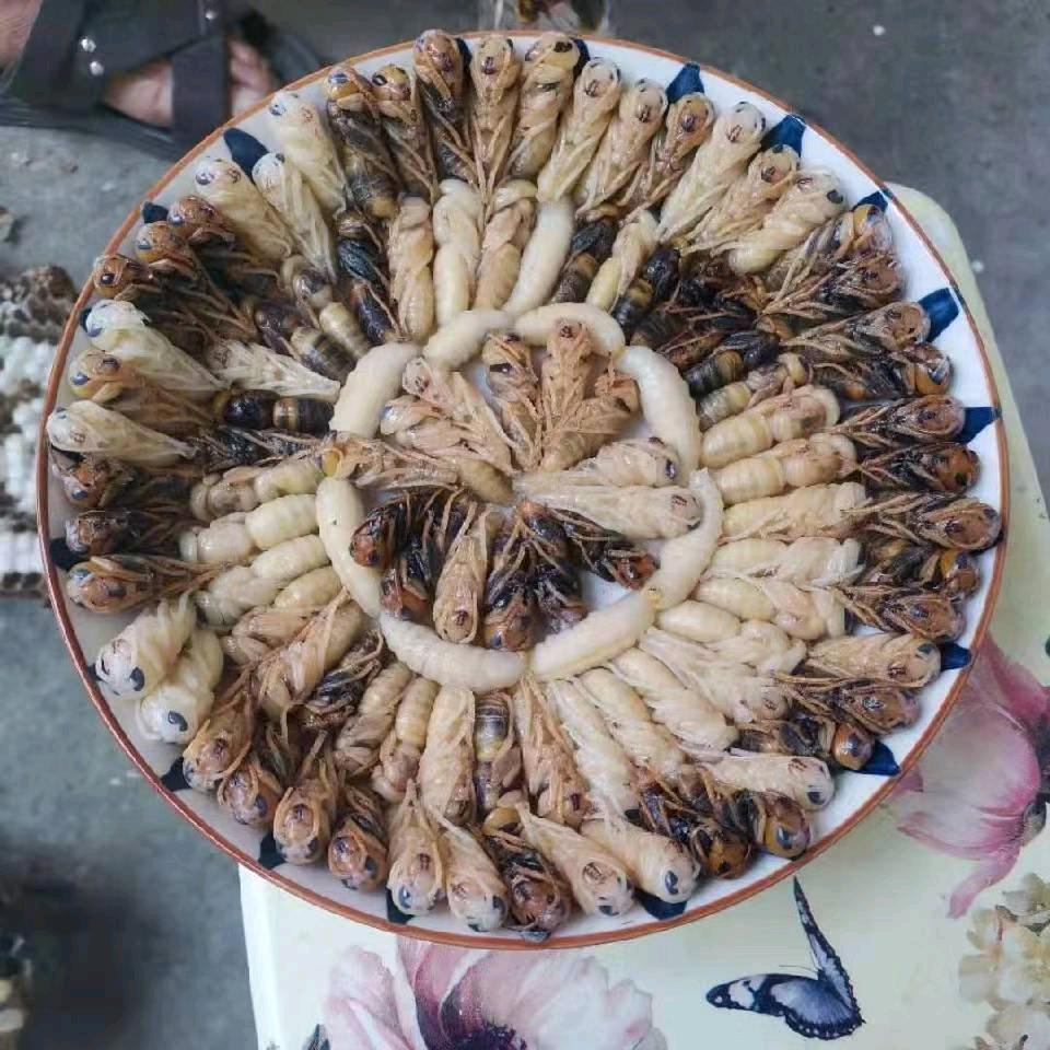户外，追马蜂