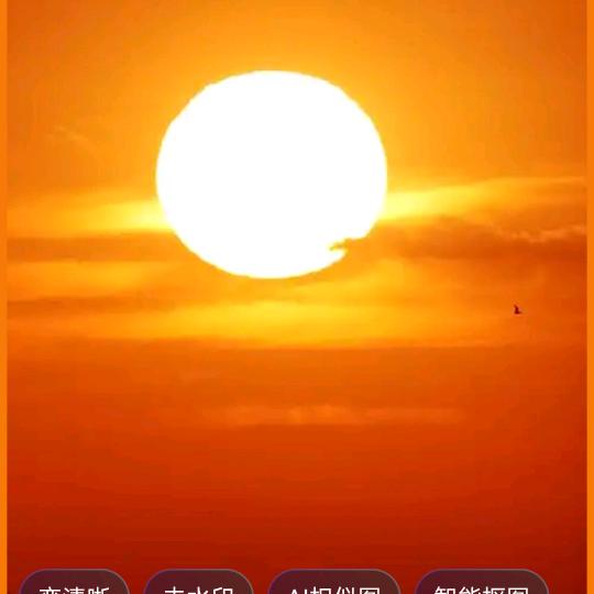 沙漠雄鹰