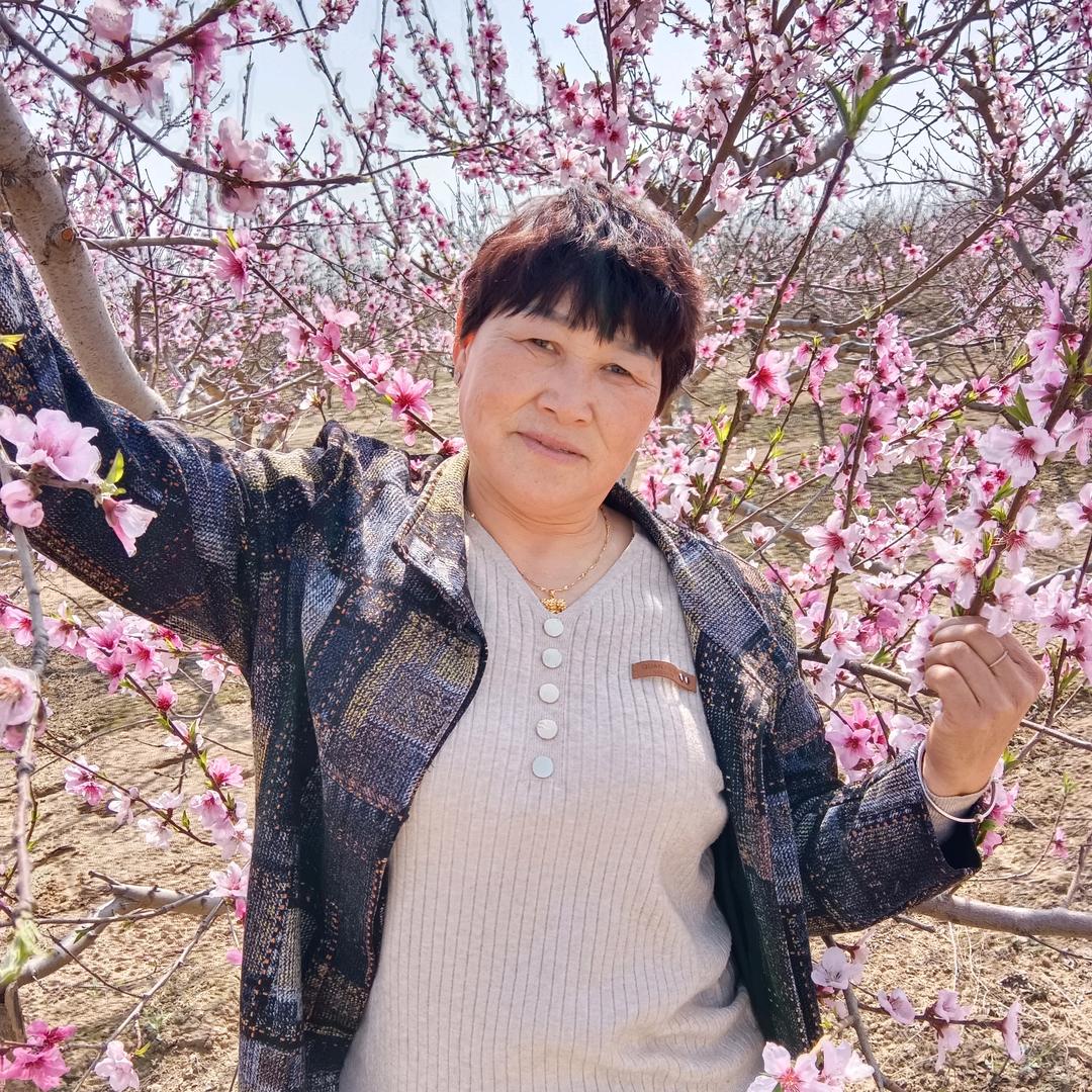 开心王姐