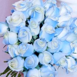 团找人（👀🐷🥥）