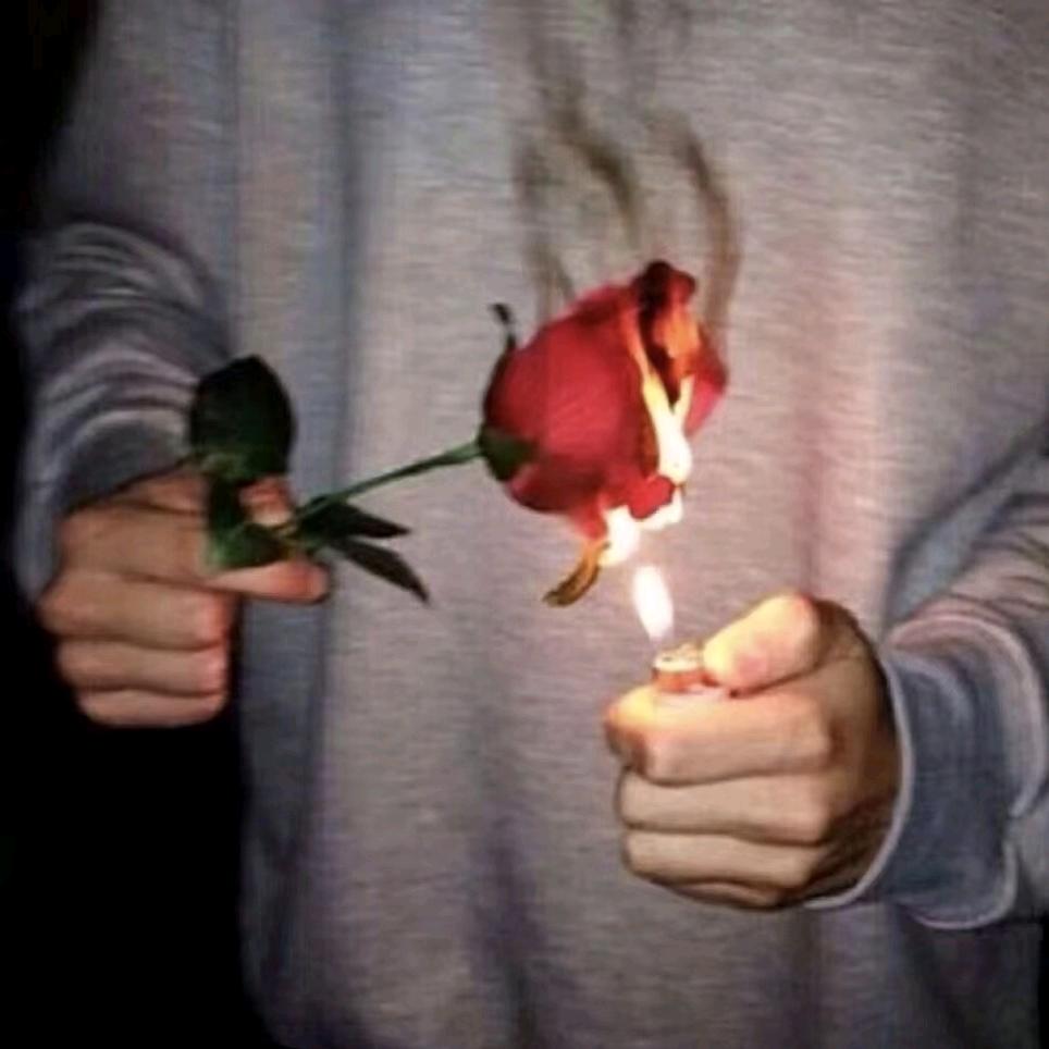 帅气公蟑螂喜欢白富美的母蟑螂