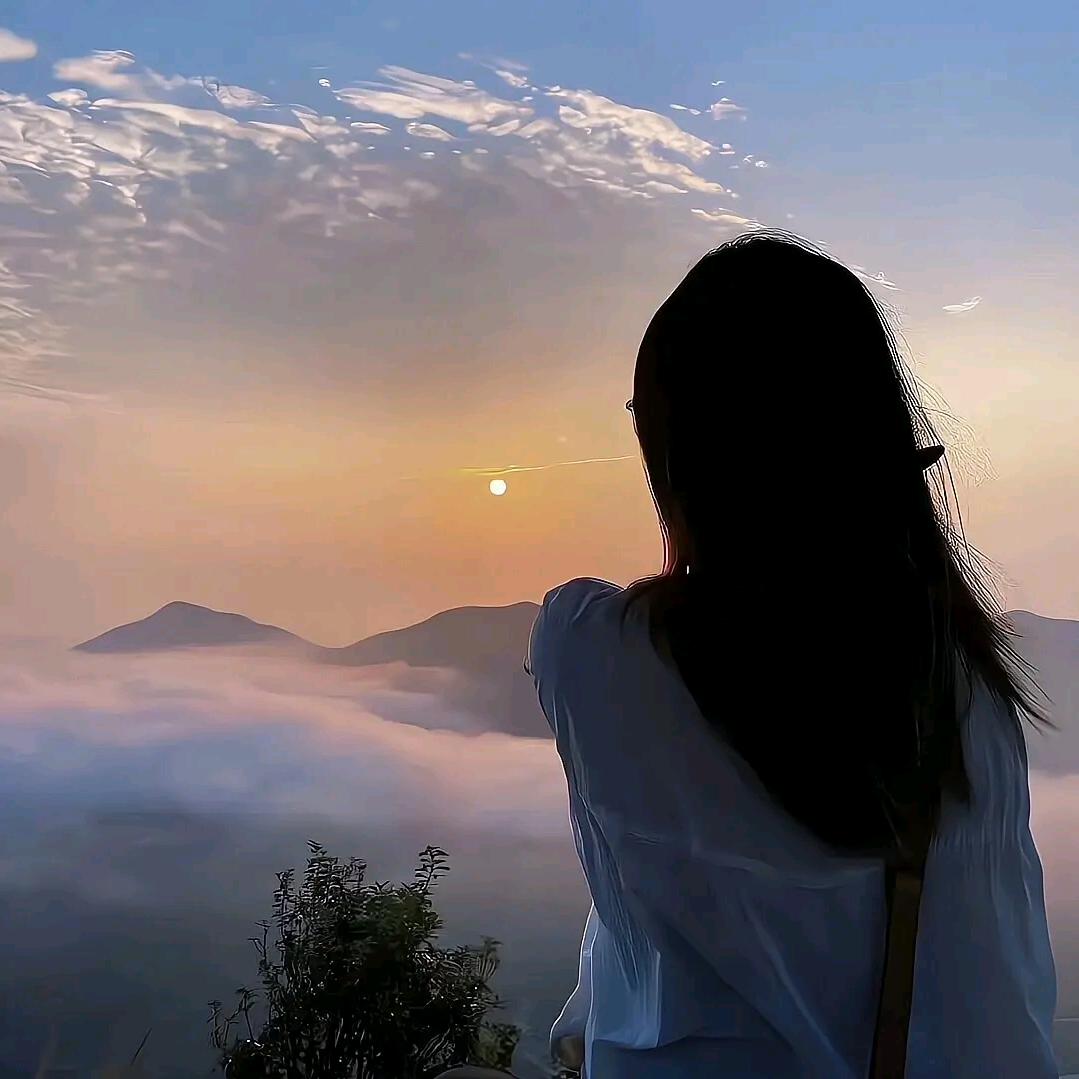 拾⭐